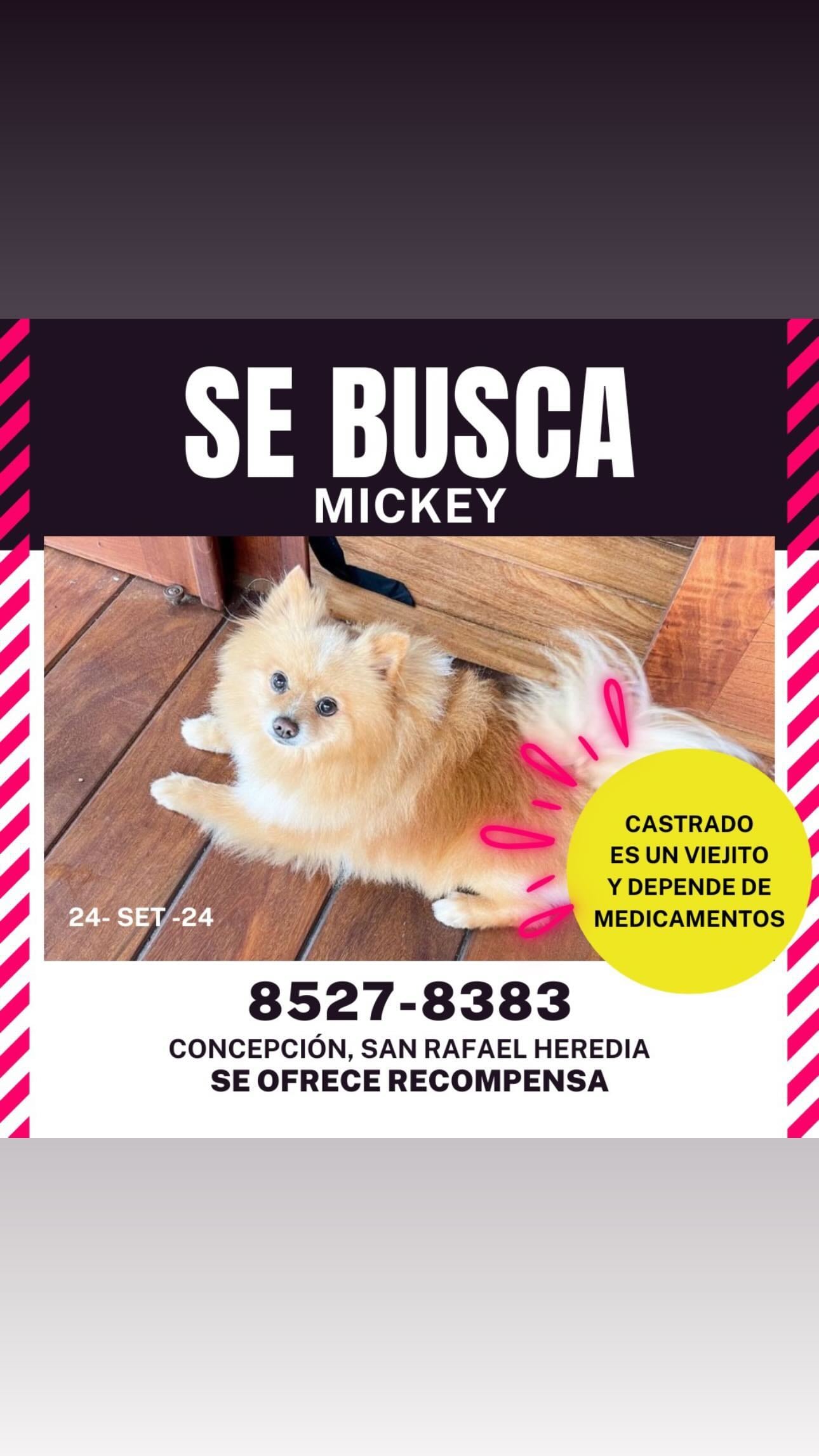 Elena Correa, modelo y cantante tica.