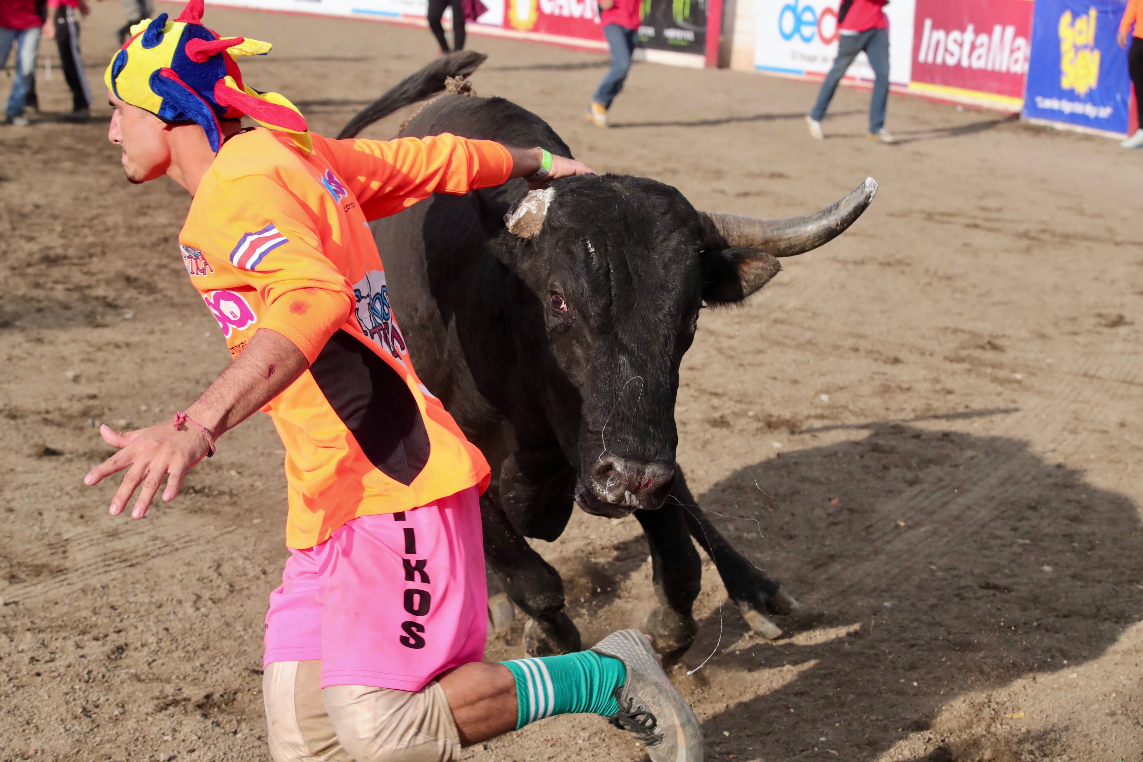 Imagen de un torero improvisado en las corridas de toros de Pedregal. El hombre viste una camisa naranja y un sombrero de payaso en la cabeza mientras corre porque lo persigue un toro.