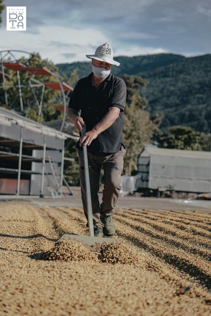 La zona de los Santos, cuna de uno de los mejores cafés del país y del mundo, le invita a turistear responsablemente y siguiendo los protocolos sanitarios esta época navideña, mientras conoce el proceso de recolecta, procesado y secado del café en sus diferentes métodos característicos de la zona.