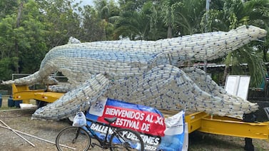 Jorobada limpió Bahía Ballena de la basura provocada por las botellas plásticas