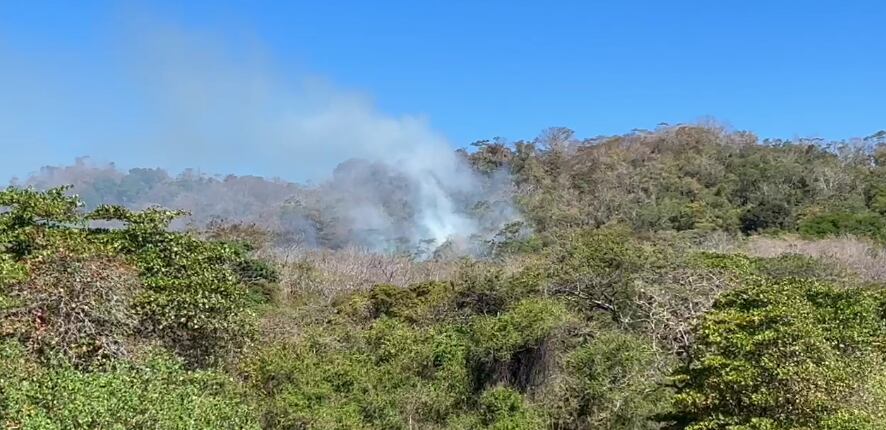 incendio forestal en cóbano