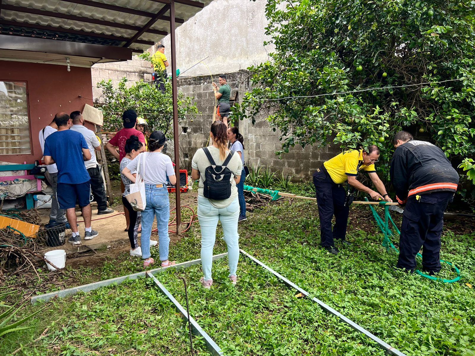 Bomberos y hasta ingenieros luchan por salvar a gatito que lleva días atrapado