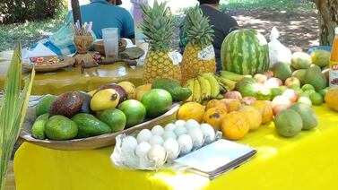 La fruta que regula el azúcar y la presión arterial y que abunda en Costa Rica