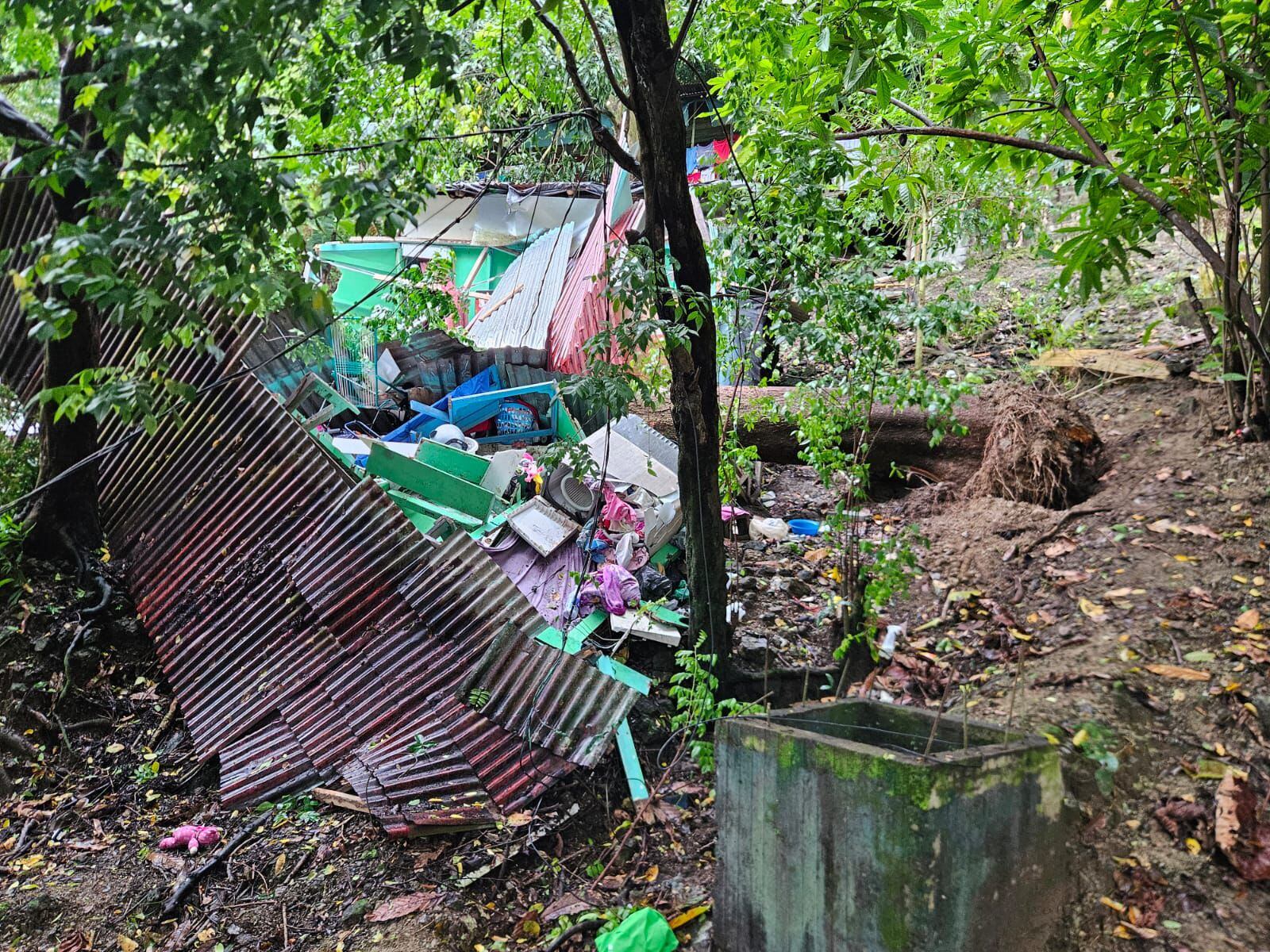 Una pequeñita de un año y cuatro meses, otras dos niñas de cinco años y ocho años; además de una adulta de aproximadamente 55 años sufrieron fuertes golpes al caer un árbol sobre la casa en la que estaban en Invu, Quepos. Foto: Bomberos