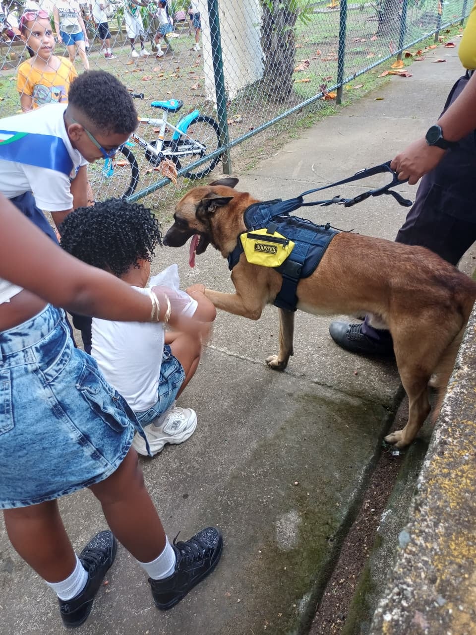Booster, el bombero de cuatro patas que se ganó a puro cariño a los rescatistas de estación de bomberos de Limón