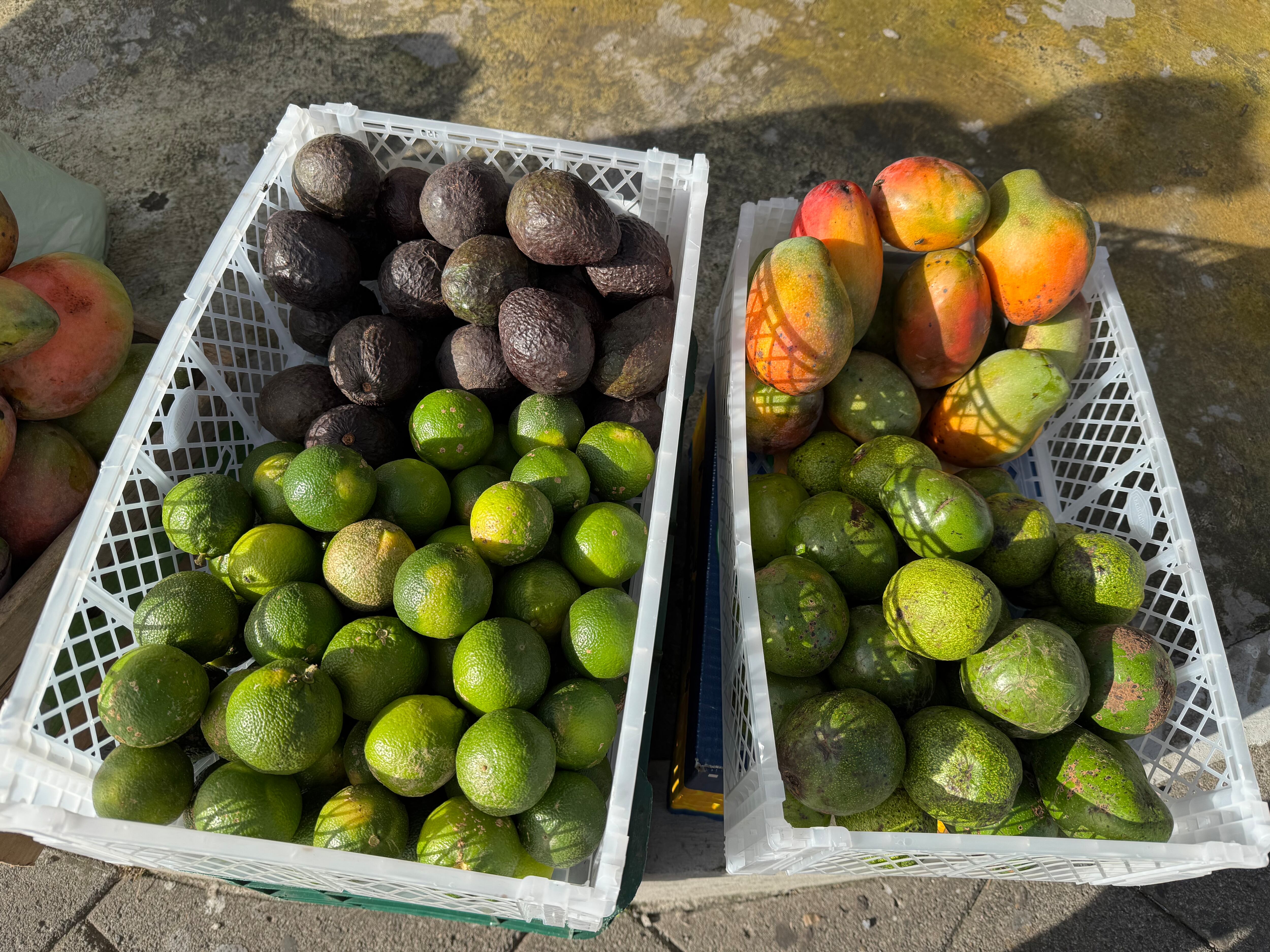 Don Jorge la sigue pulseando a los 76 años a pura fruta y corazón.