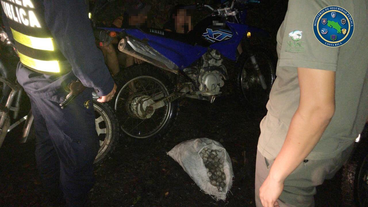Detienen a dos jóvenes como sospechosos de robar 414 huevos de tortuga del Parque Nacional Manuel Antonio. Foto MSP.