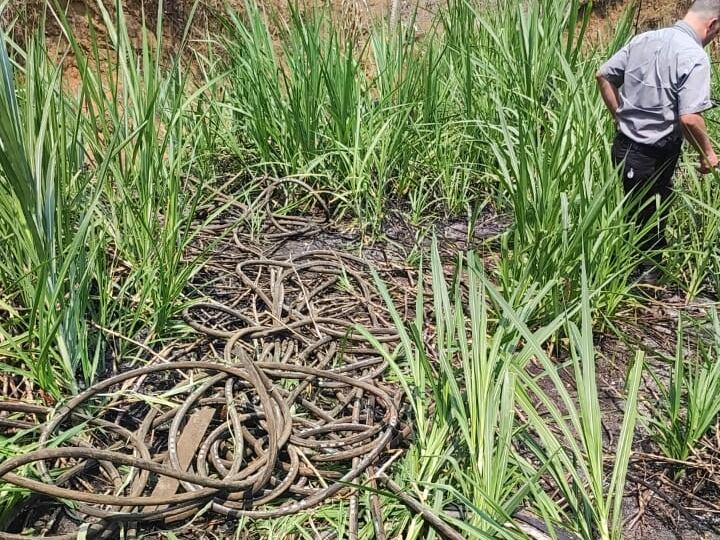 La situación fue descubierta en Santa Rosa de Santo Domingo, en Heredia. Foto Recope.