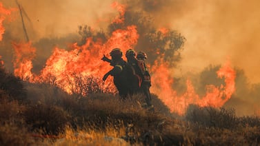 Incendio forestal avanza hacia almacén con 143 vehículos en Liberia