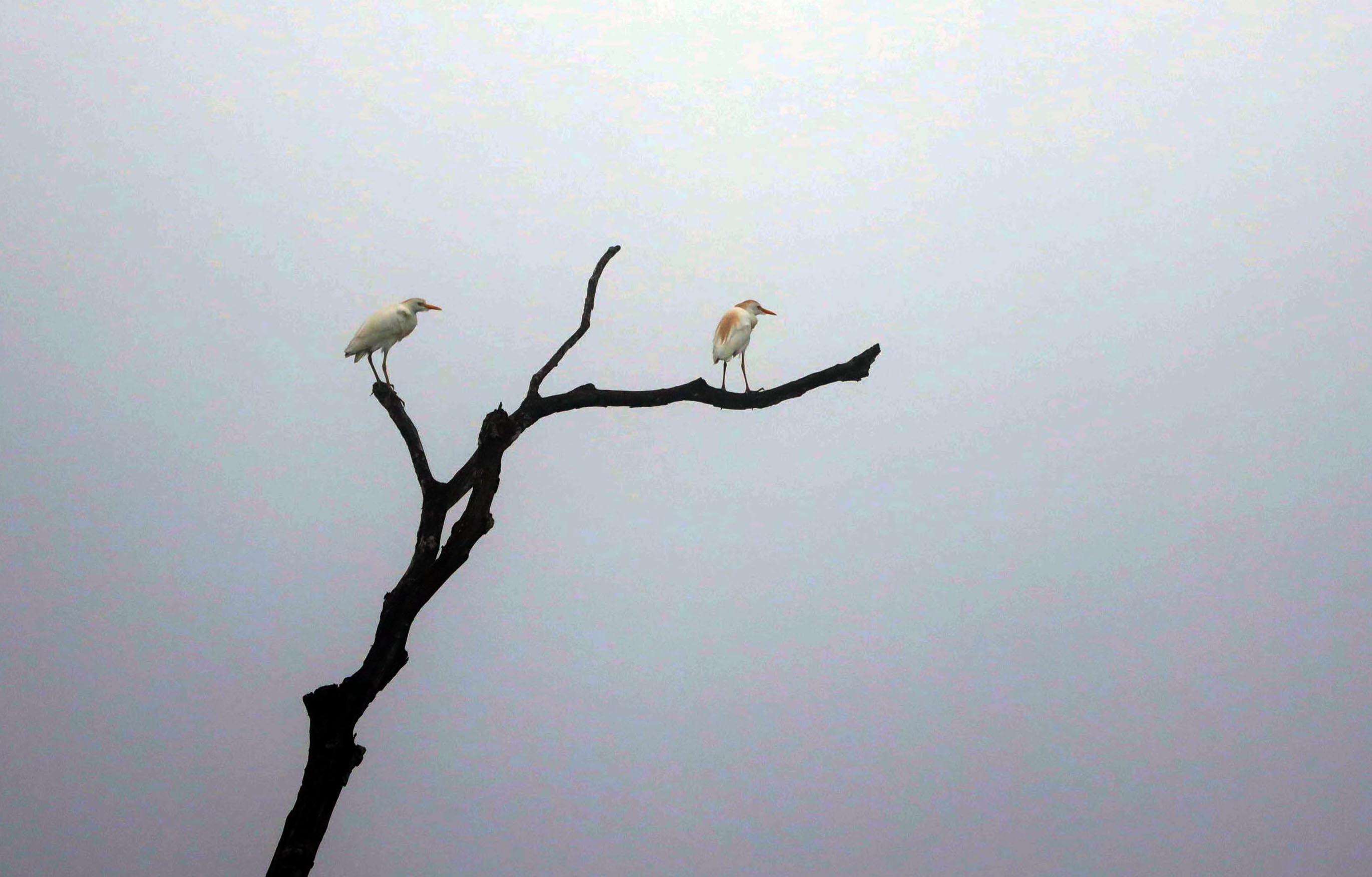 Catarata la Muralla Turrialba