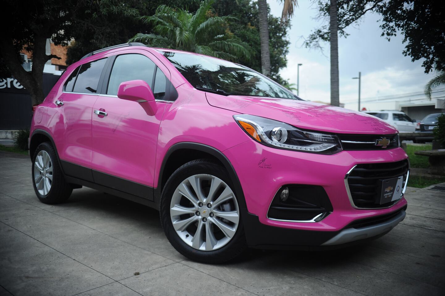 Amor y fe impulsan al auto rosa | La Teja