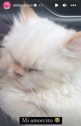 Diego Bravo, youtuber costarricense