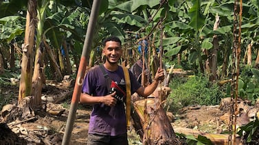 Le contamos la historia del joven que se hizo viral por trabajar en una bananera y estudiar en la U, su sueño está a punto de cumplirse