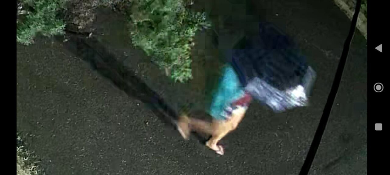 Karla Natasha Solano Bonilla, de 18 años, fue vista por última vez en Santa Rosa de Limón. Foto: OIJ