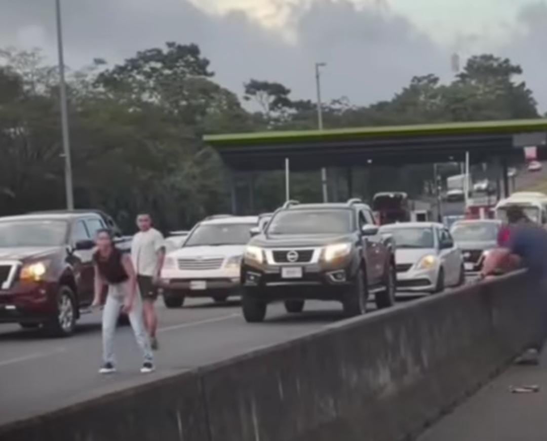 Una familia de patitos provocó que varios conductores detuvieran momentáneamente el tránsito en una carretera nacional de Costa Rica.