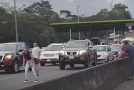 Conductores detuvieron el tráfico en carretera nacional por un motivo que enterneció a muchos