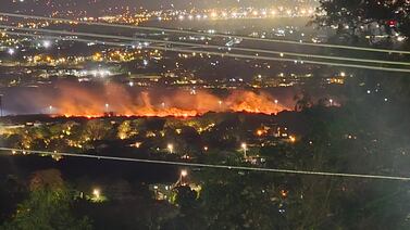 Claudia Dobles y Eli Feinzaig se suman a los cuestionamientos por incencio en parque Lorne Ross