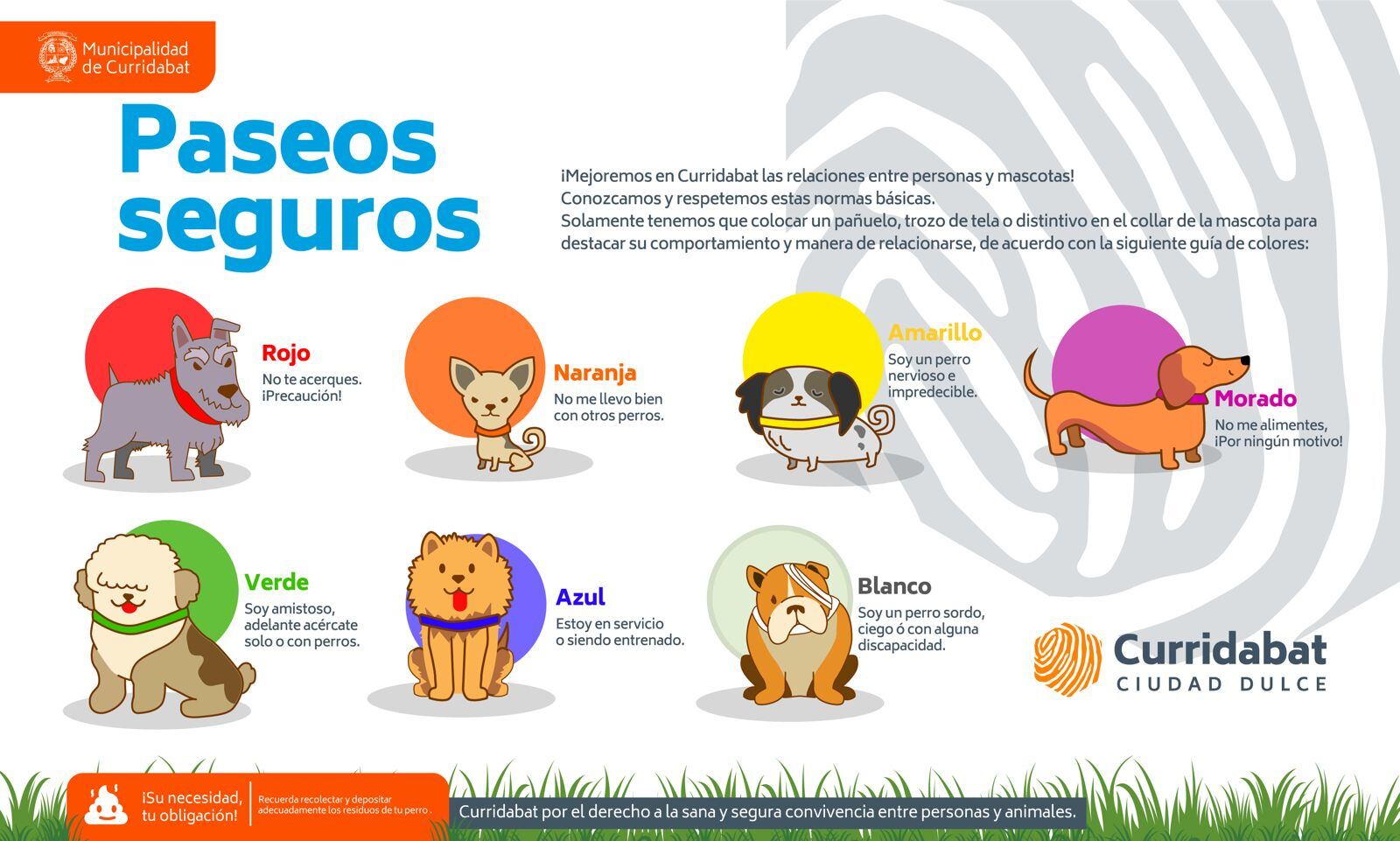 Municipalidad de Curridabat logró casi eliminar los perros callejeros