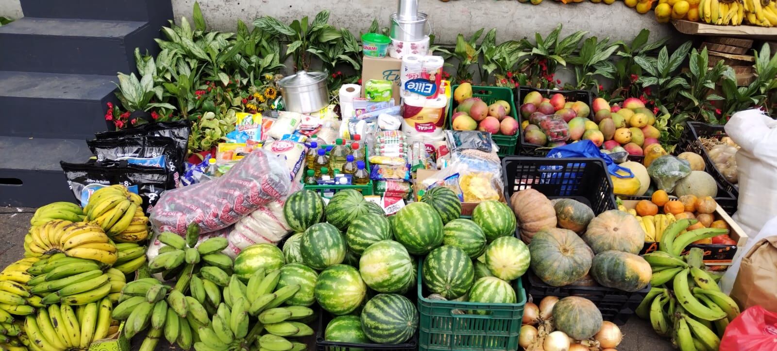 Trameros de mercados josefinos llenaron de ofrendas el huerto de la catedral metropolitana. Foto Eduardo Vega.