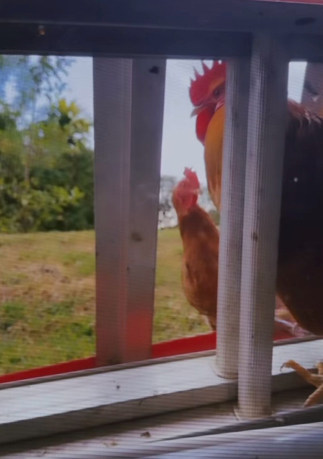 Montserrat del Castillo para la Teja