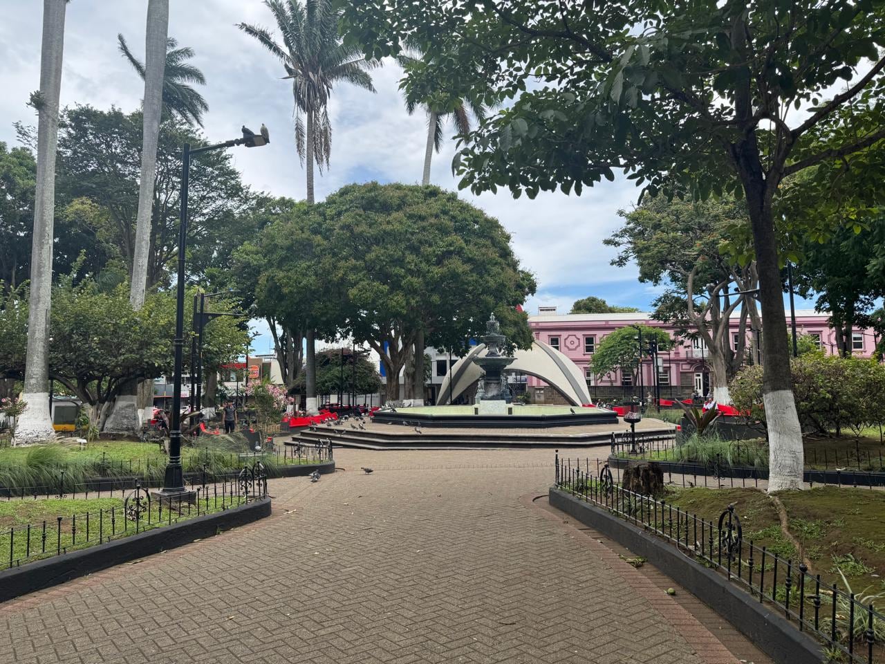 Caída de mangos en parque de Alajuela