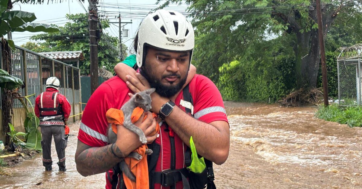 Carlos Miranda participó en el rescate de una familia cuya vivienda fue inundada debido a las intensas lluvias del pasado jueves. Miranda logró sacar a una niña de ocho años sobre sus hombros, junto con su gatito. (Foto: cortesía Cruz Roja)