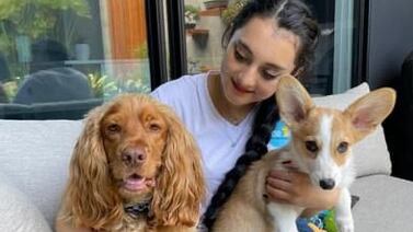 “Niñeros” de mascotas: Ticos crean negocio en el que le mandan personal a cuidarle el perro a su propia casa