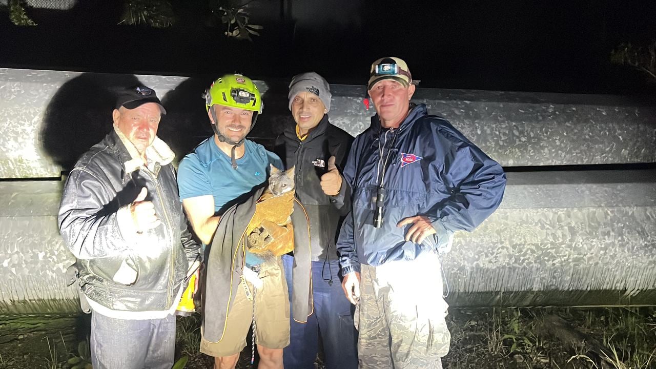 Rescatan a zorrito que se metió en complicado tubo