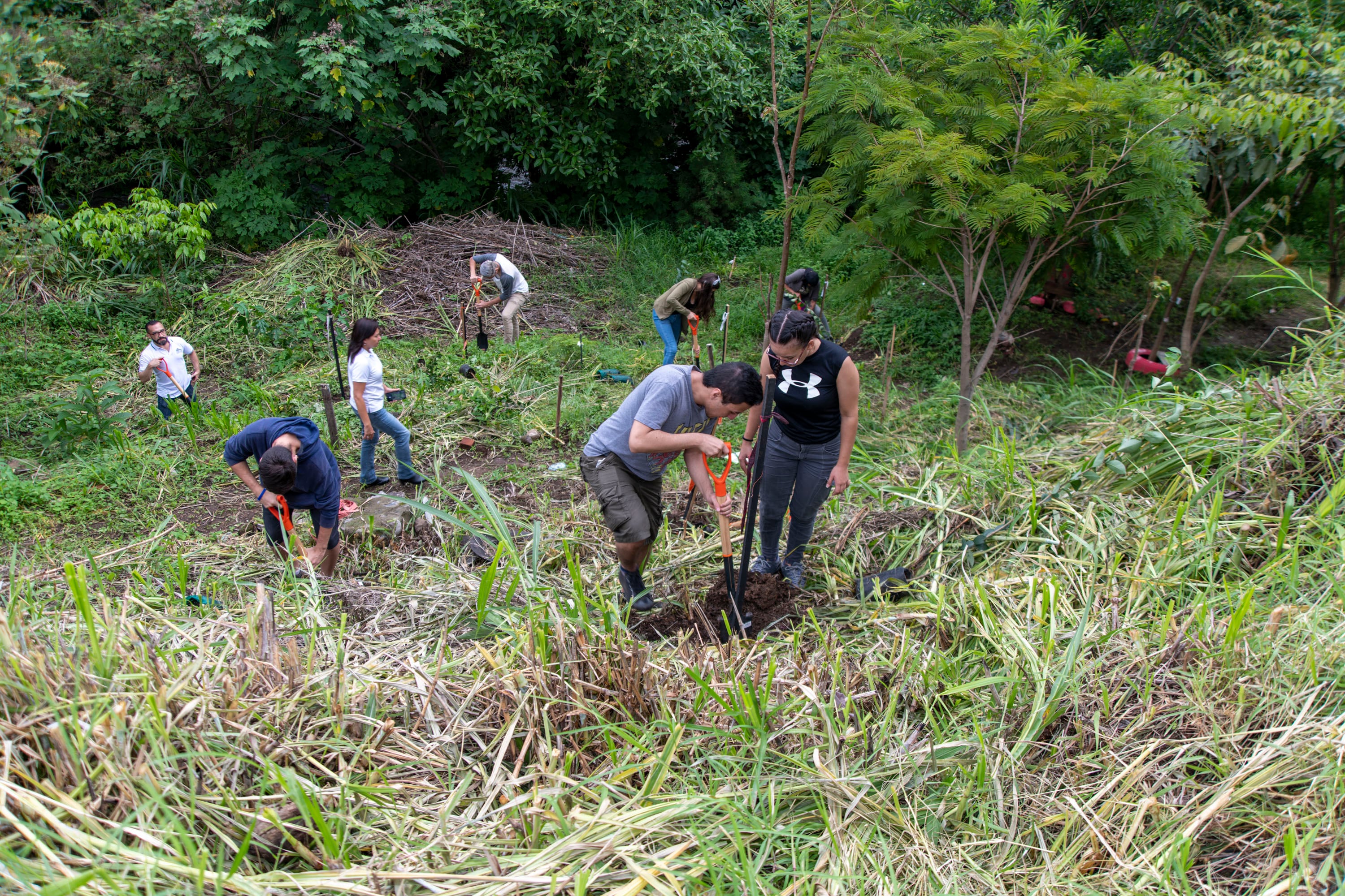 Jornada de voluntariado en el Bosque Los Cipreses.