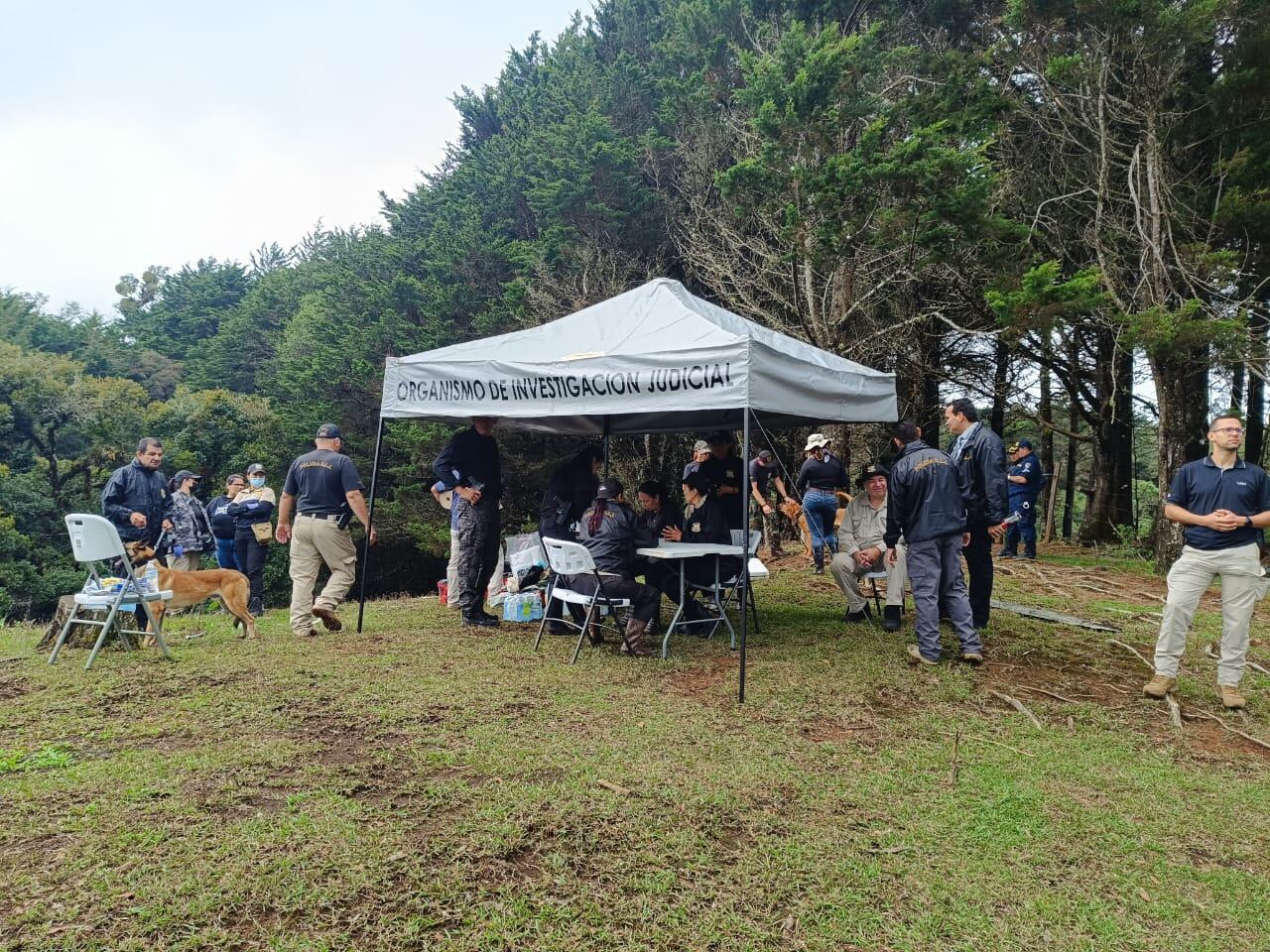 Búsqueda de Julieta Fernández en Dota