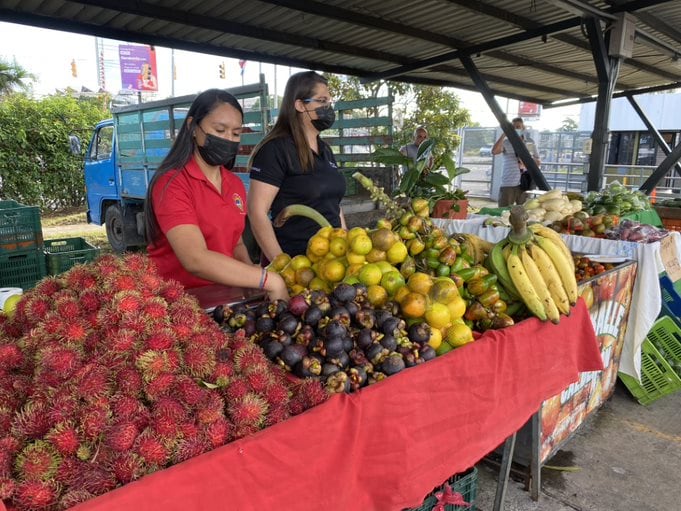 Un grupo de 50 mujeres del sector agrícola provenientes de Golfito, Puntarenas, Sarapiquí, Limón, Guápiles, y otras localidades del país que tendrán la oportunidad de comercializar sus productos en la reconocida feria capitalina que se realiza todos los viernes de 8:30 a.m. a 3:00 p.m., en el parqueo del MAG