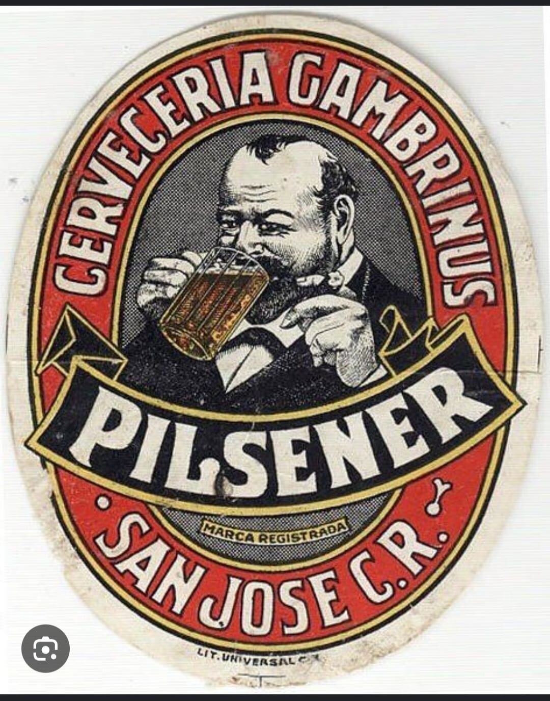 Para la historia de la cerveza en Costa Rica hay un hecho fundamental en 1888 y es el ingreso al mercado cervecero tico del austríaco José Traube Tichy, quien fundó ese año la Cervecería Globo en Cartago.
