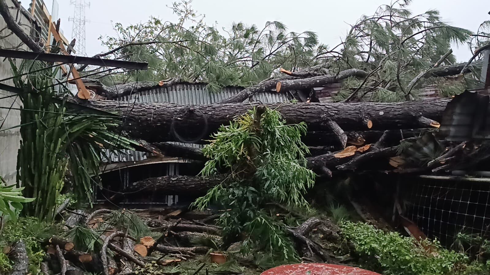 Fuertes aguaceros causaron estragos en su paso por la comunidad de Agua Caliente, donde vecinos incluso perdieron su hogar por caída de árboles