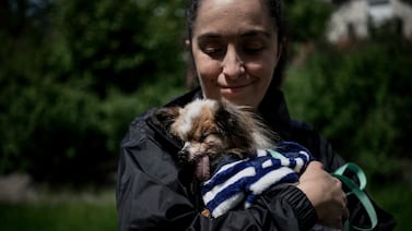 Fallece el perro que era reconocido como el más viejo del mundo