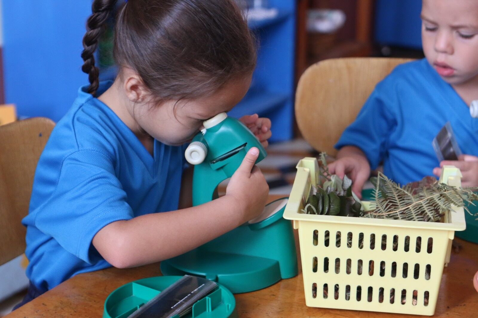 ¿Entra en el 2025 su hijo a preescolar, primer grado de escuela o sétimo de colegio? Si su respuesta es sí, pues le contamos que el ministerio de Educación (MEP), de acuerdo al Calendaerio Escolar 2024, comenzó este lunes 5 de agosto la prematrícula