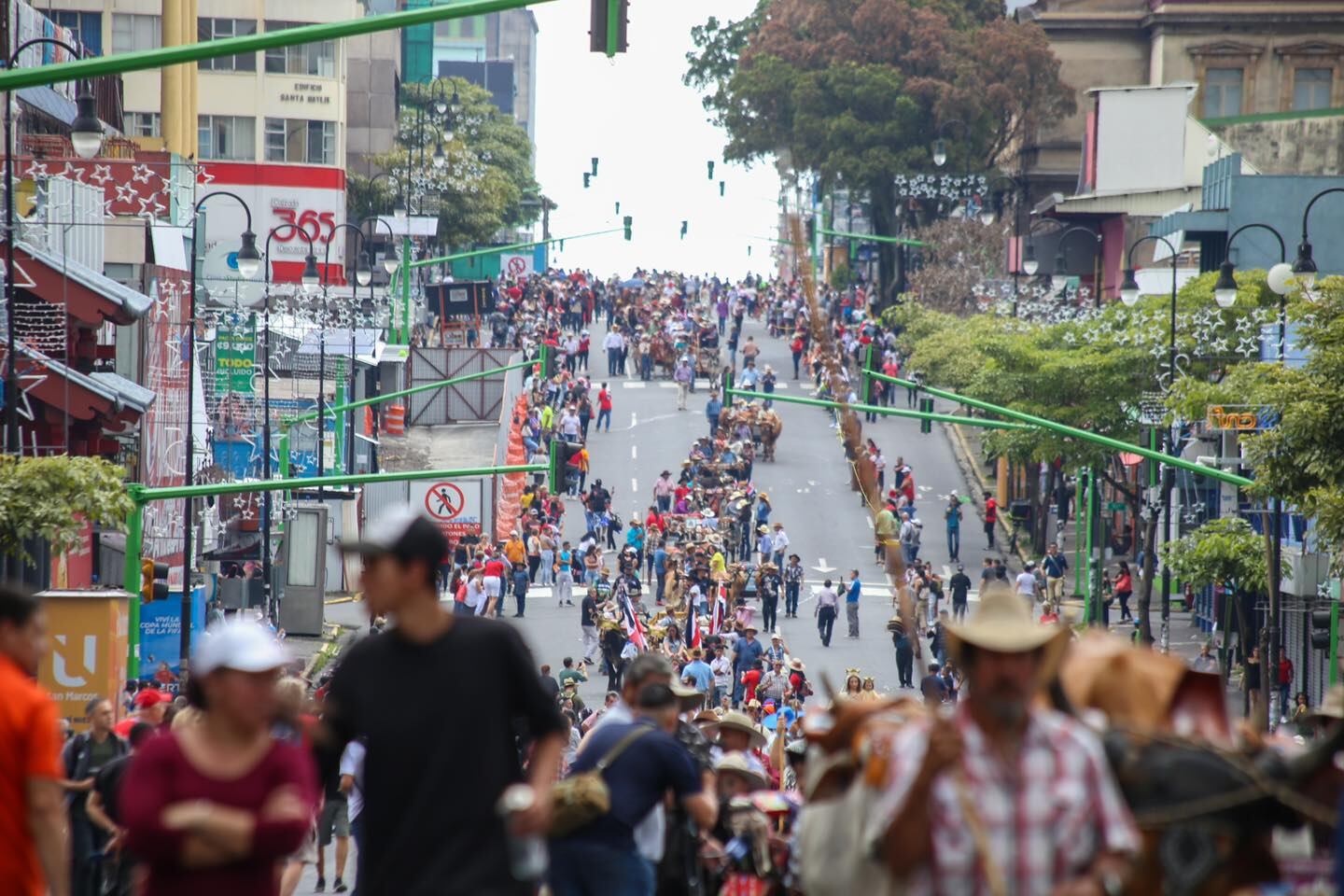 Más de 300 yuntas, con sus respectivas carretas, acompañadas de música y bailes folclóricos, desfilaron por las calles de la capital durante la XXIV Edición de la Entrada de Santos y Desfile de Boyeros a la ciudad de San José, este domingo 27 de noviembre de 2022.