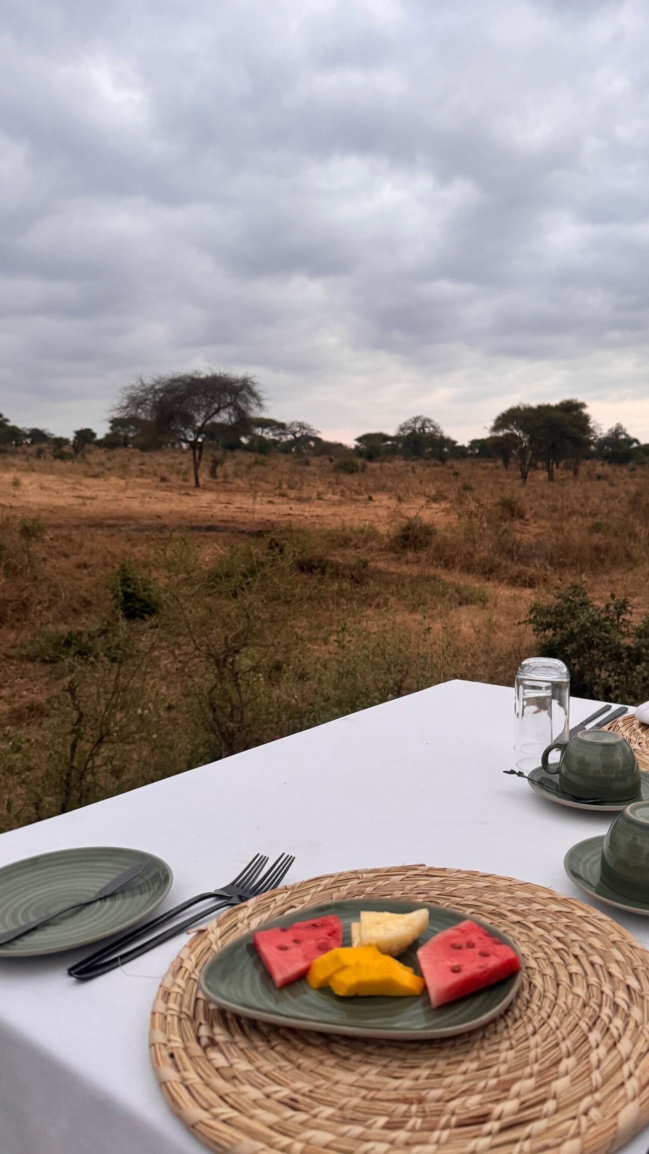 Luciana "Lula" Prada desayunó en medio de la selva africana teniendo como vista los enormes elefeantes de la zona.