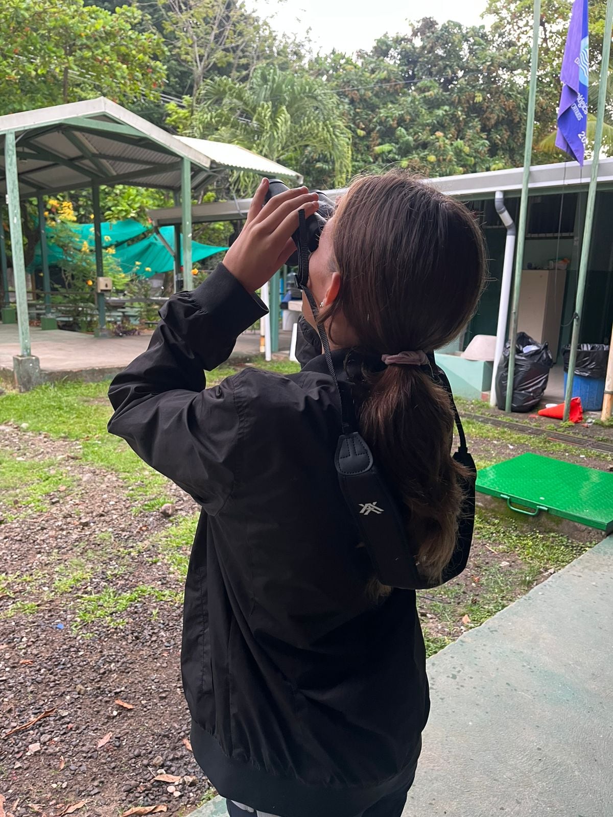 En la Escuela Santa Teresa de Cóbano, Puntarenas, el timbre de entrada apaga los gritos alegres de los niños, marca el inicio de clases, también anuncia la llegada de los gritos roncos de los monos congos que viven entre los árboles que rodean el centro educativo.