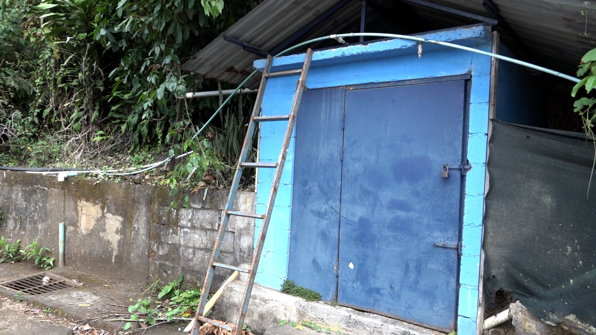 Esta es la naciente del estadio Allen Riggioni. Gabriela Gago.