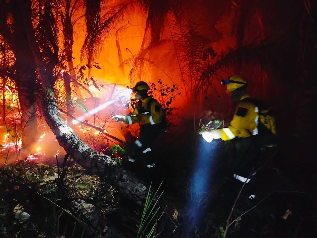 Esta fotografía difundida por la Defensa Civil de Bolivia muestra a bomberos venezolanos combatiendo los incendios forestales en el área de San Ignacio de Velasco, Departamento de Santa Cruz, Bolivia.