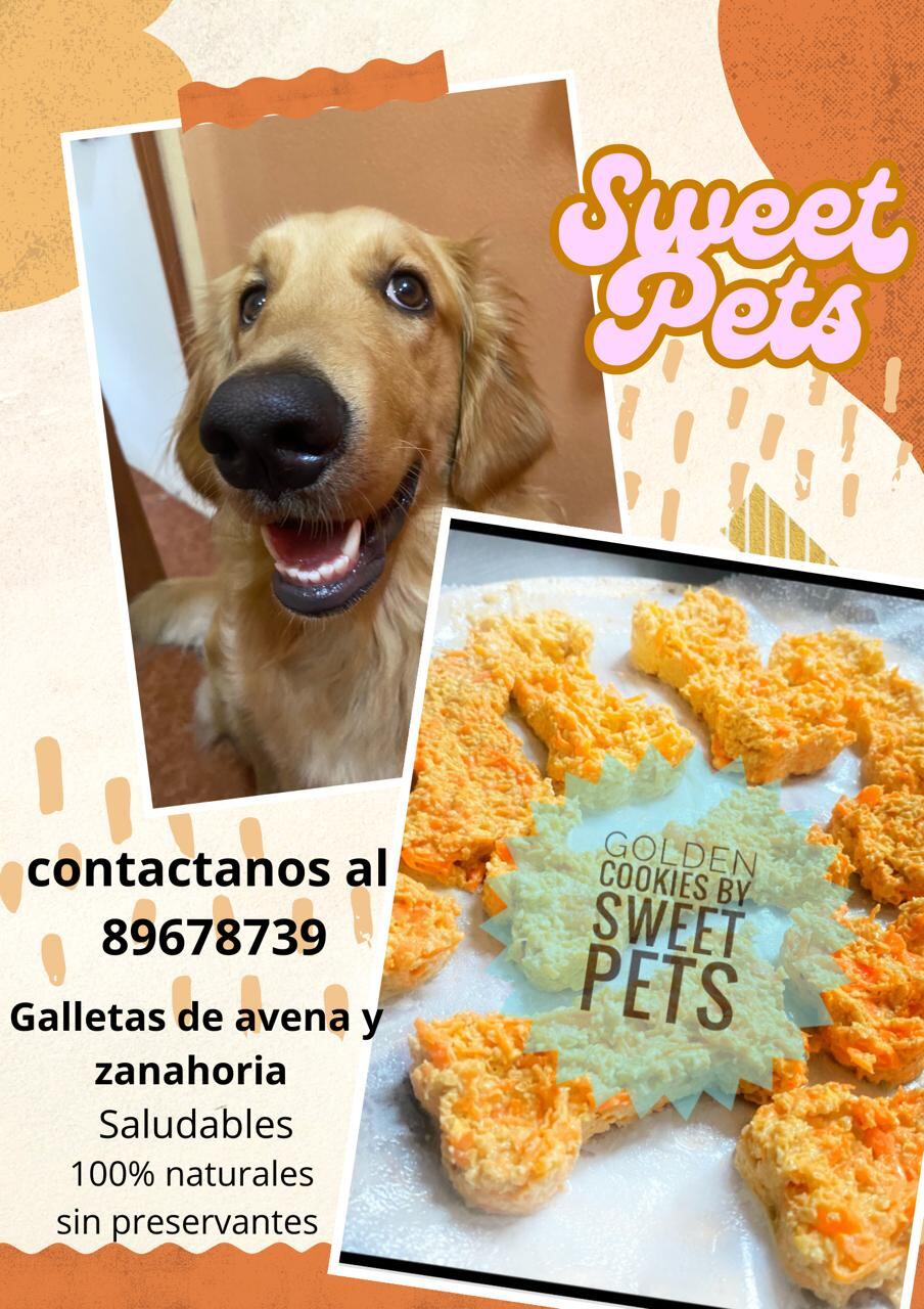 En diciembre del 2023, la vida de doña Karen Alvarado dio un giro inesperado. Sus hijos, ya adultos, notaron que hacía falta una nueva compañía en casa y decidieron darle la sorpresa más tierna de su vida: una perrita golden retriever llamada Chloe