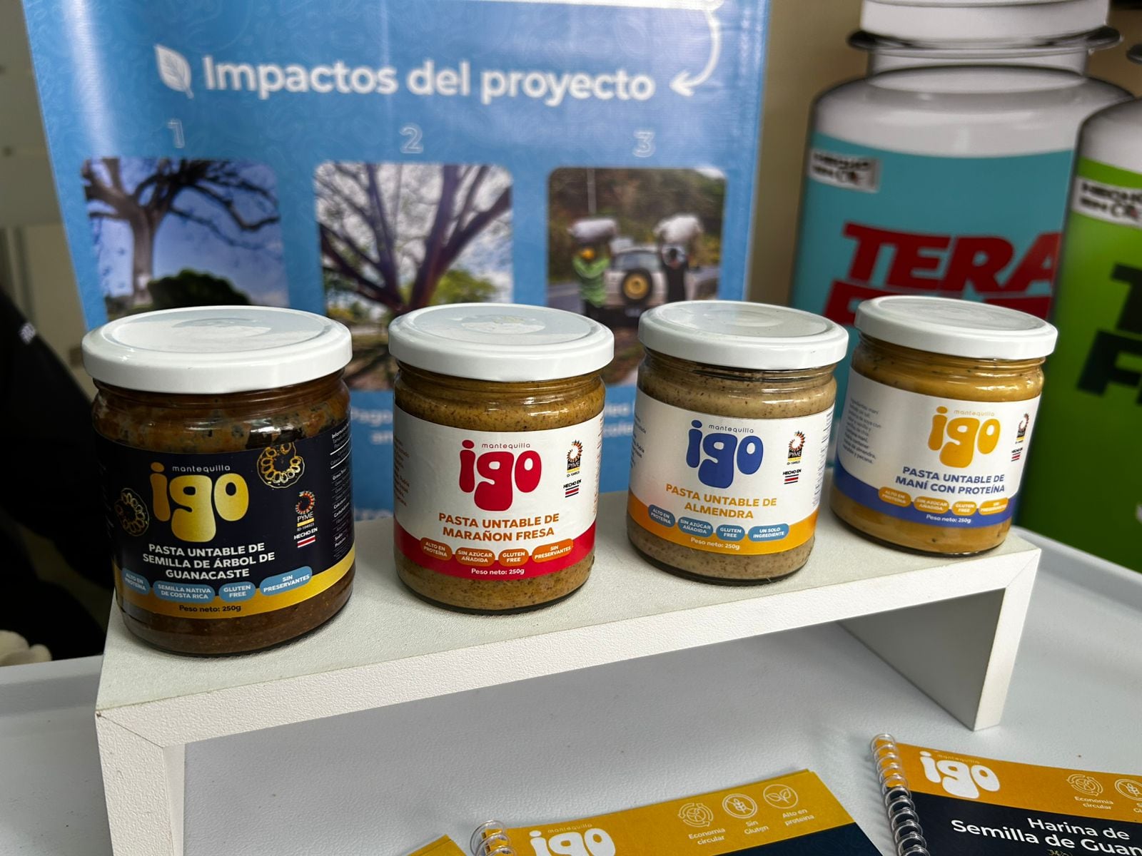 En Costa Rica hay muchas historias de pulseadores, pero la de Rodrigo Crovetto Chassoul, de 23 años, tiene un ingrediente que la hace única: el árbol de Guanacaste, símbolo nacional.