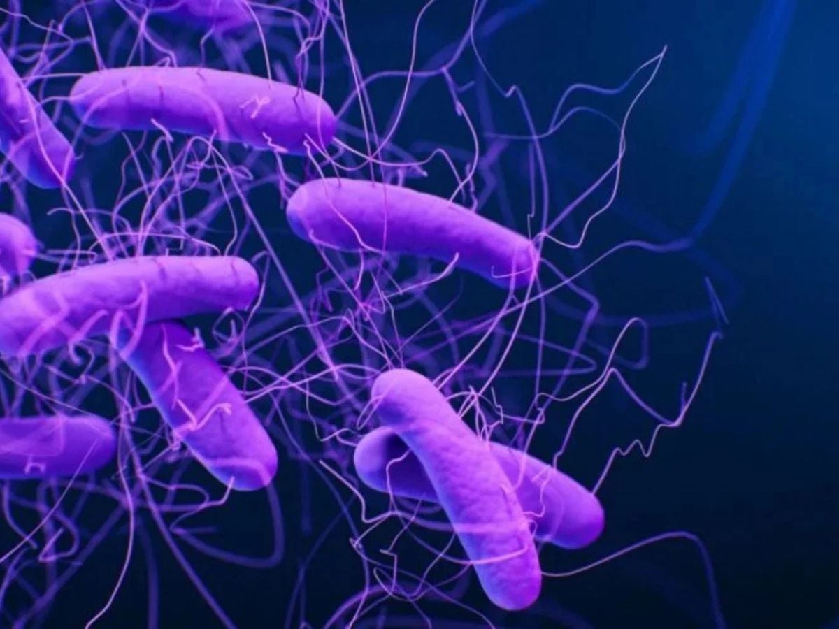 La bacteria de la diarrea se propaga muy fácilmente, pero también es sencilla de combatir.