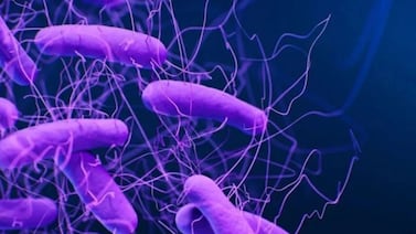 Una enfermedad 100% prevenible tiene al país en “zona de alerta”