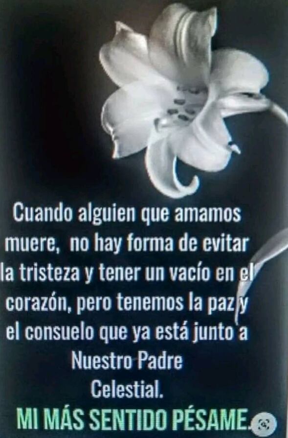 Vica Andrade y Memo del Bosque