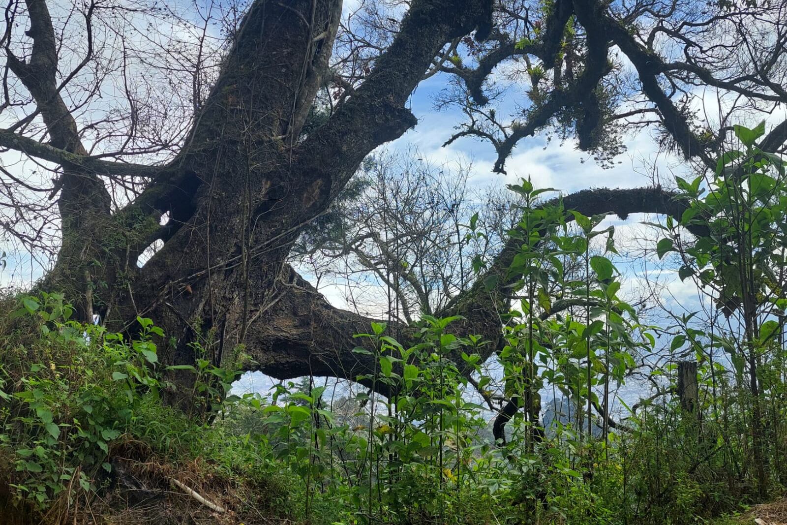 Recorra los bosques y senderos de Aserrí y conozca su historia en cada paso.
