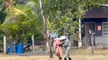 Bomberos rescatan a mujer y perro de un ataque de abejas en Guanacaste