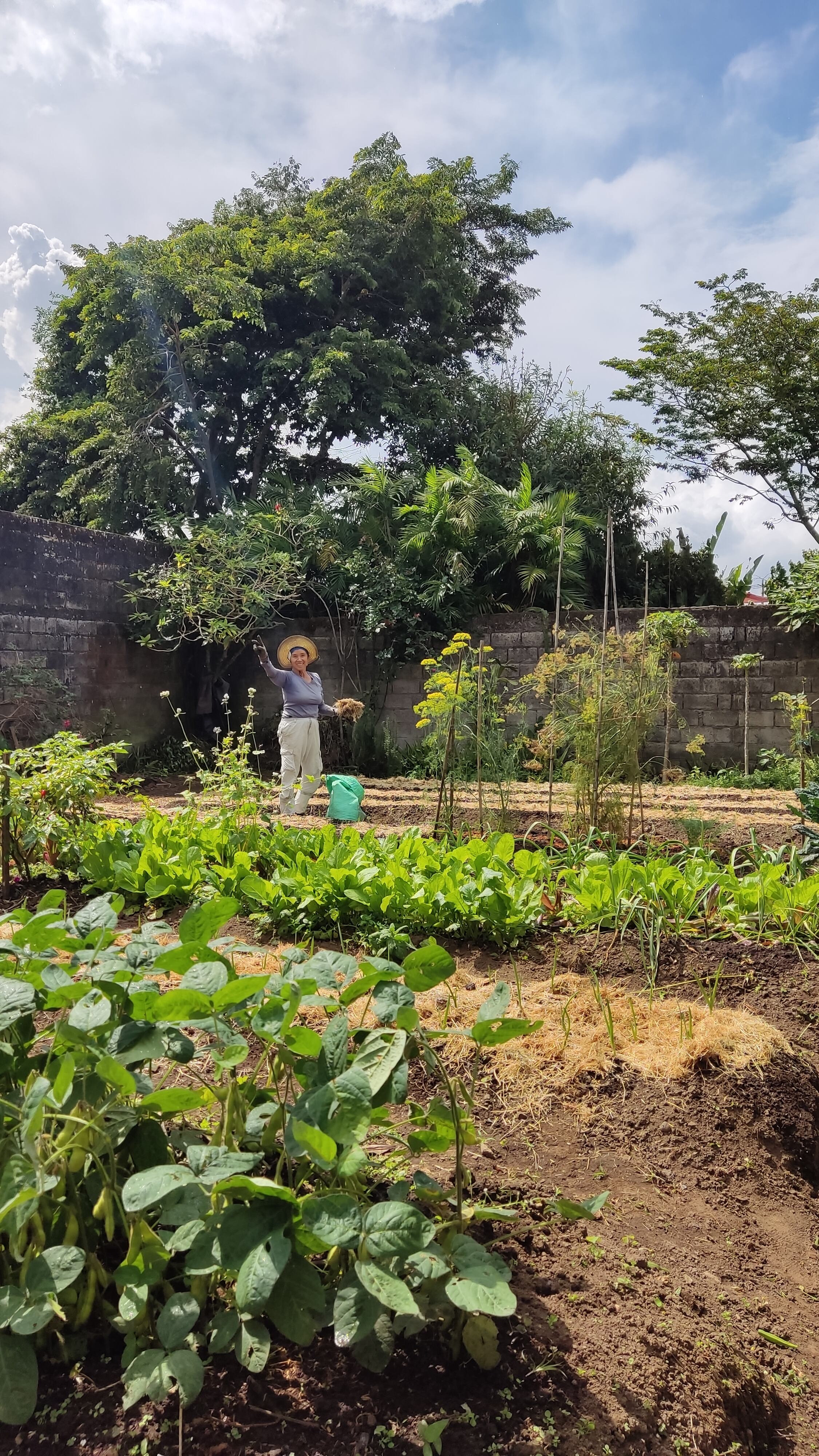 Yashiko Fallas creó un condimento japonés con productos de la dieta del tico y eso le hizo ganar un premio internacional.