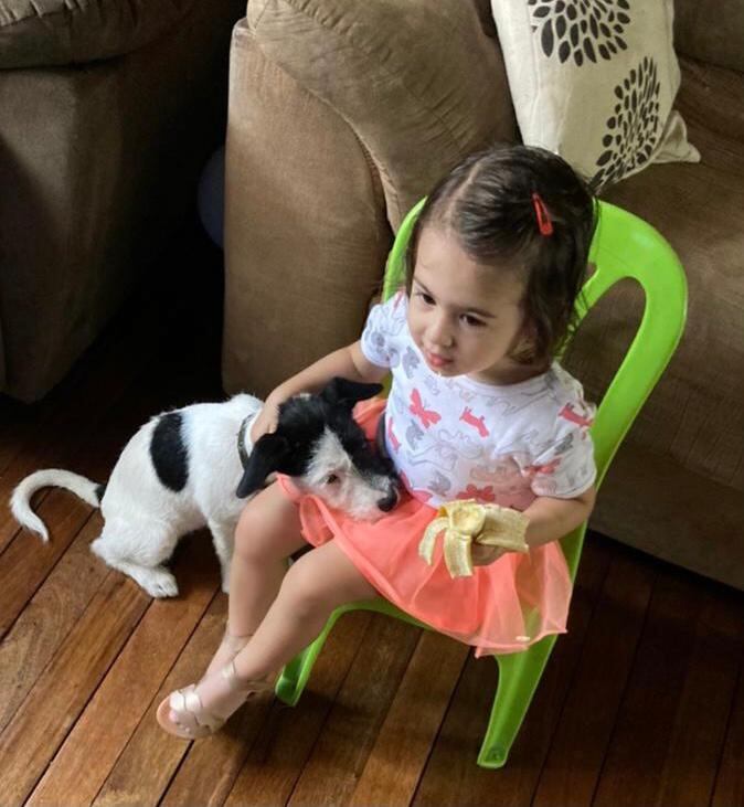 Bomberos rescatan a perro que fue lanzado dentro de un saco a río Ocloro. Foto Bomberos.