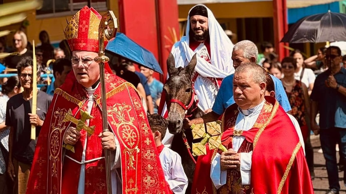 Milo es un burrito que vive en San Carlos y ese 2026 cumplirá 8 años de cargar a Jesús en la procesión del Domingo de Ramos de Semana Santa. El dueño se llama Mauricio Cedeño Quesada.
